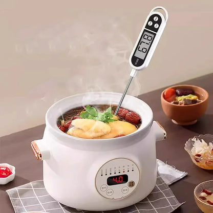 HeatCheck – Digital Kitchen Food Thermometer