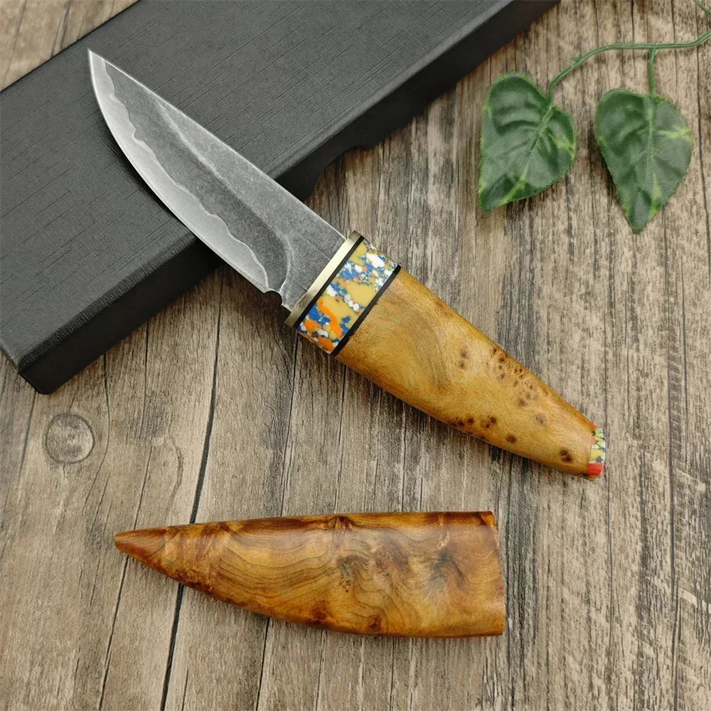 EdgeBloom – Composite Steel Fixed Blade Paring & Meat Knife